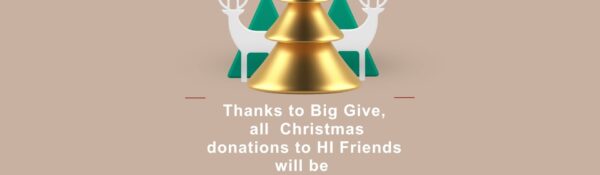 Big Give #Christmas Challenge-Thank you!
