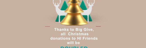 Big Give #Christmas Challenge-Thank you!